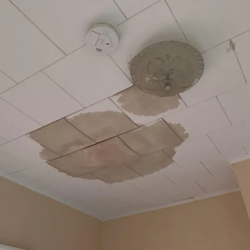 Ceiling Water Damage Repair in Jacksonville, FL